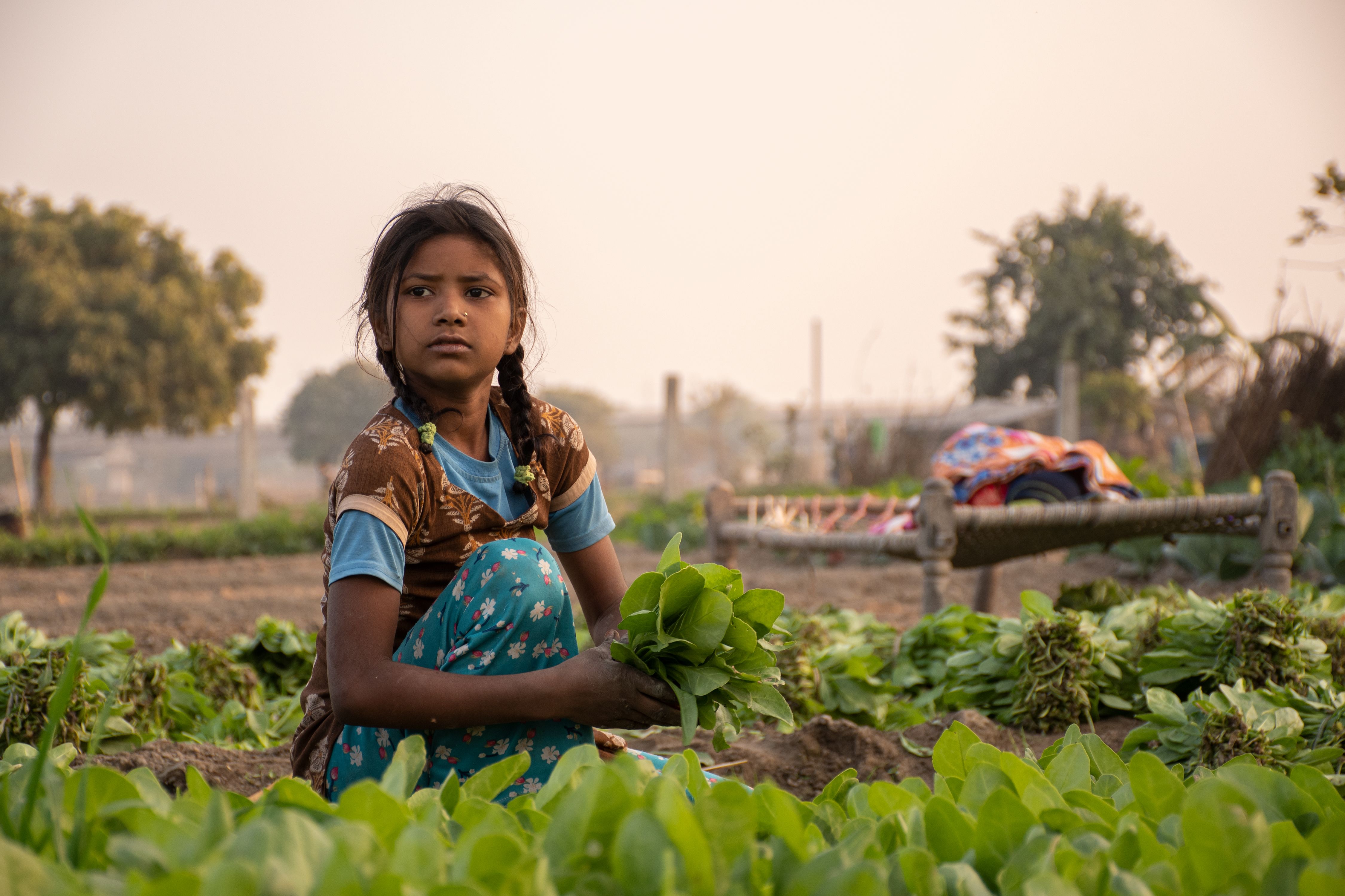A child holding leafy greens in a vegetable garden